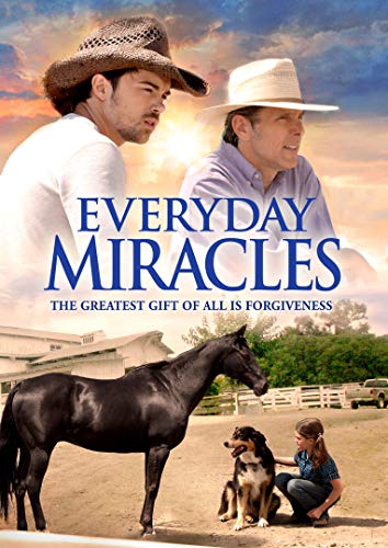 EVERYDAY MIRACLES DVD