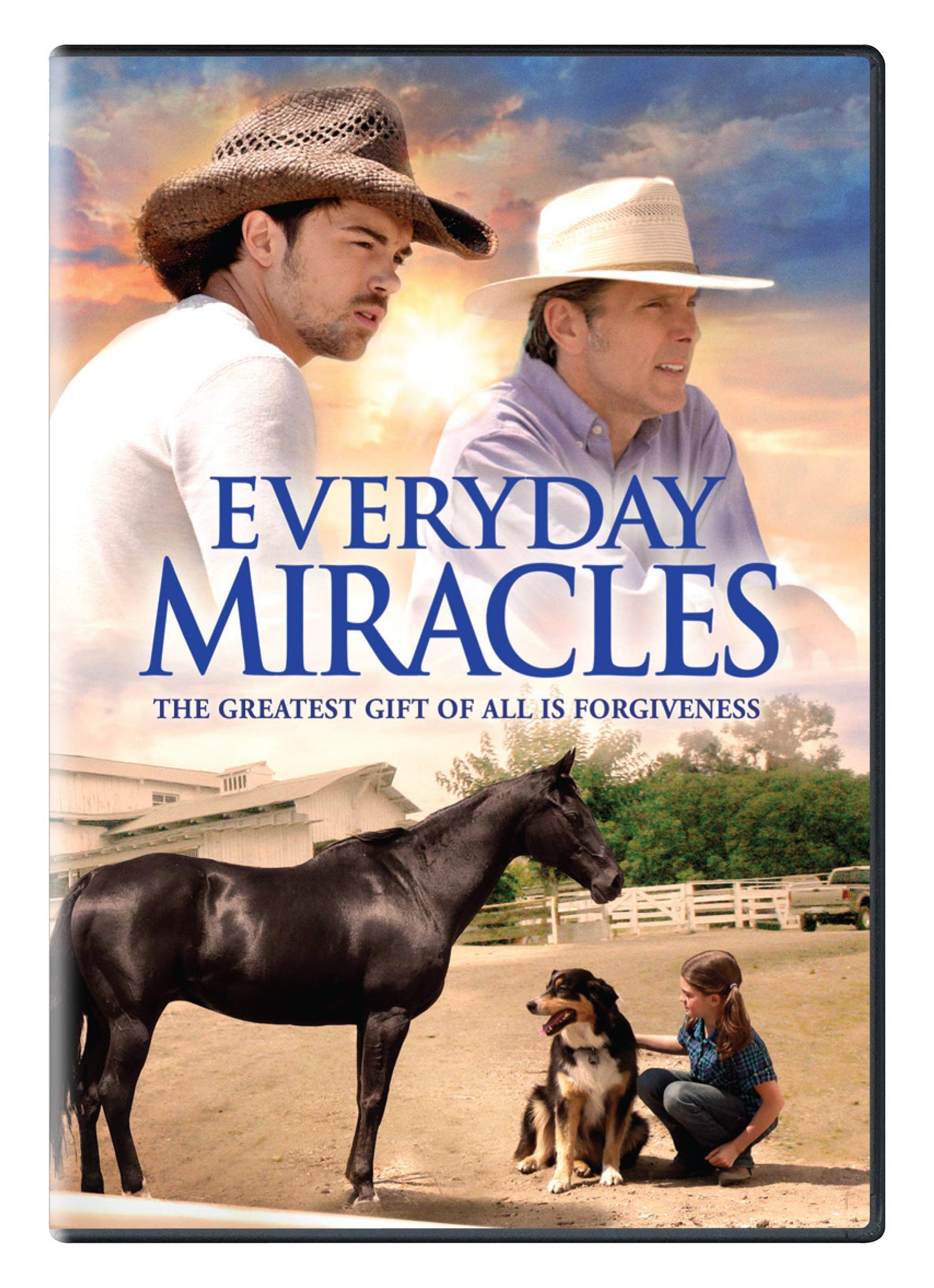 EVERYDAY MIRACLES DVD